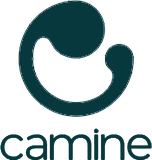 Camine